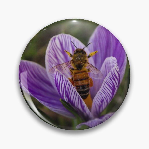 Item preview, H0080 Honey Bee designed and sold by photographyemd.