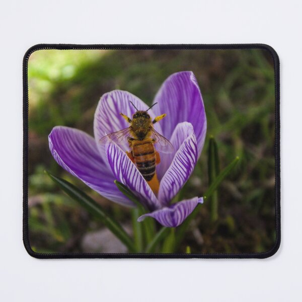 Item preview, H0080 Honey Bee designed and sold by photographyemd.