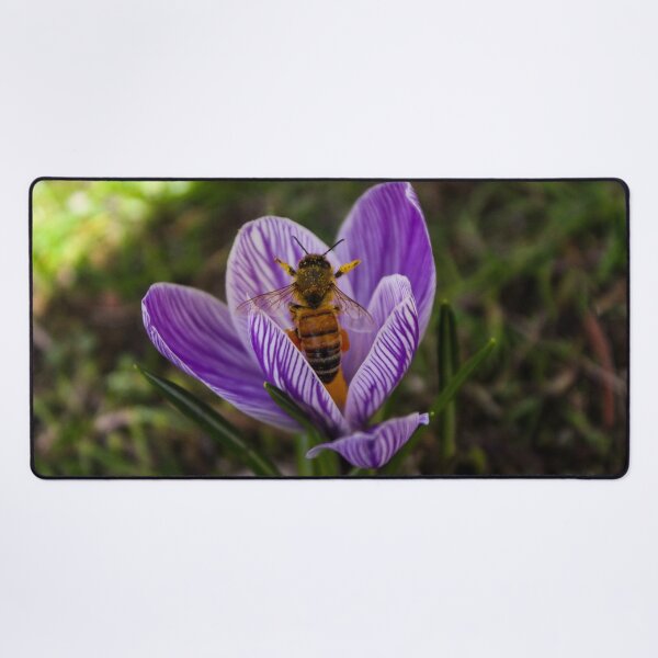 Item preview, H0080 Honey Bee designed and sold by photographyemd.