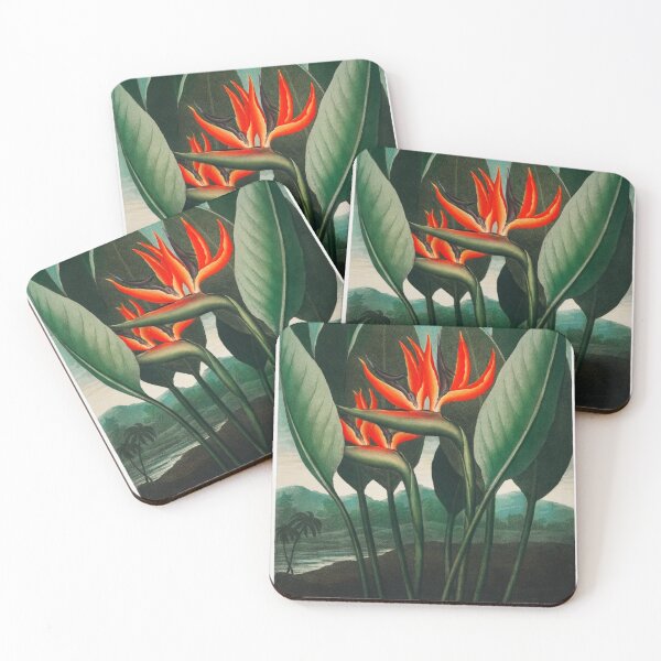 Item preview, Bird of Paradise flower - The Queen designed and sold by blackdogshop.