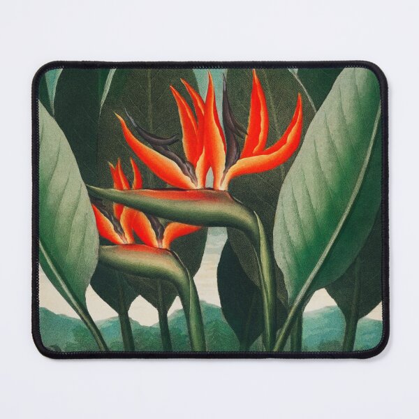 Item preview, Bird of Paradise flower - The Queen designed and sold by blackdogshop.