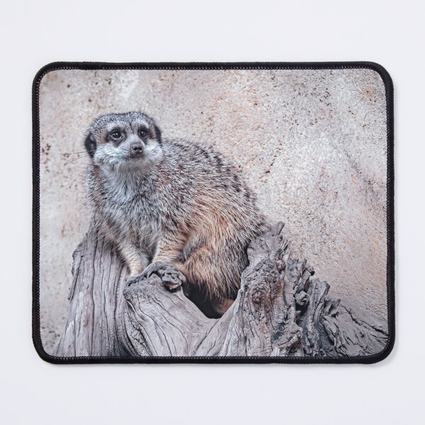 Item preview, Portrait of a Meerkat designed and sold by Catherine Reading.