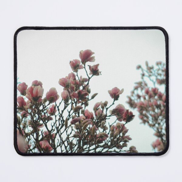 Item preview, H0085 Magnolia Tree designed and sold by photographyemd.