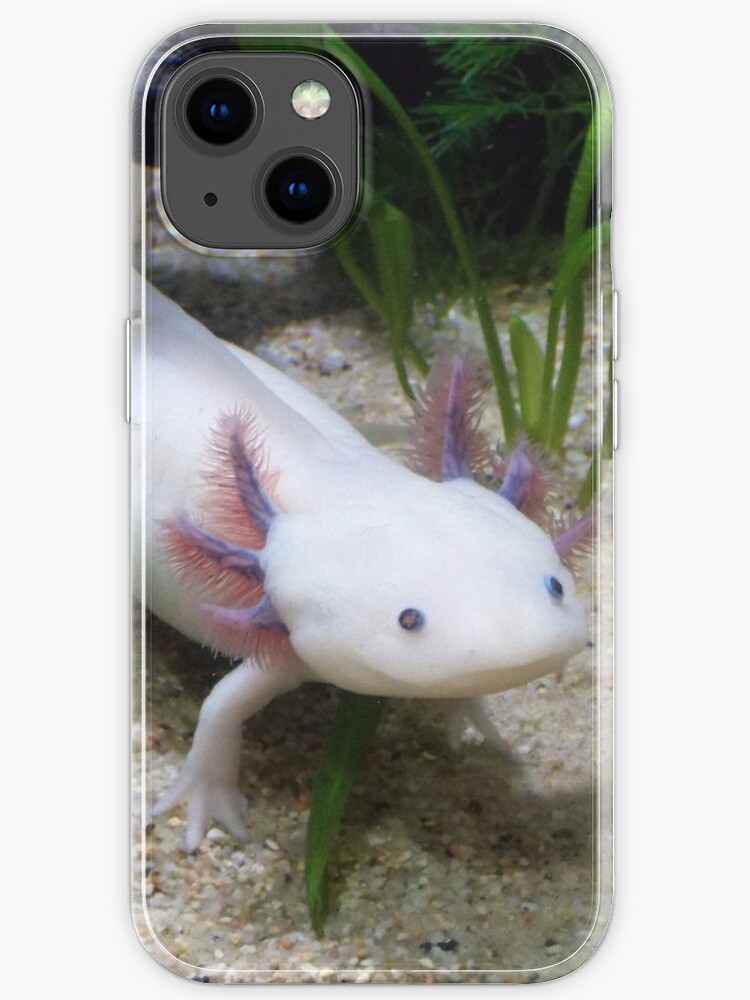 Axolotl Smiling Iphone Case For Sale By Assiyatarar Redbubble