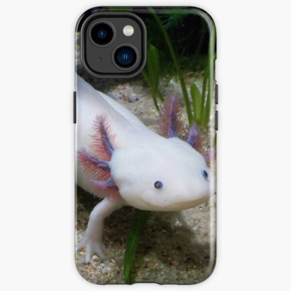 Funny Axolotl Phone Cases for Sale