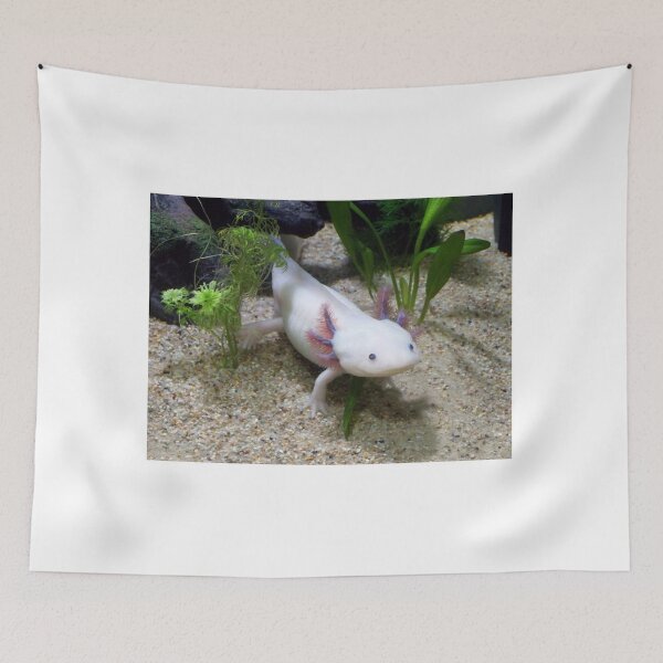 Item preview, Axolotl Smiling  designed and sold by Stella Clue.