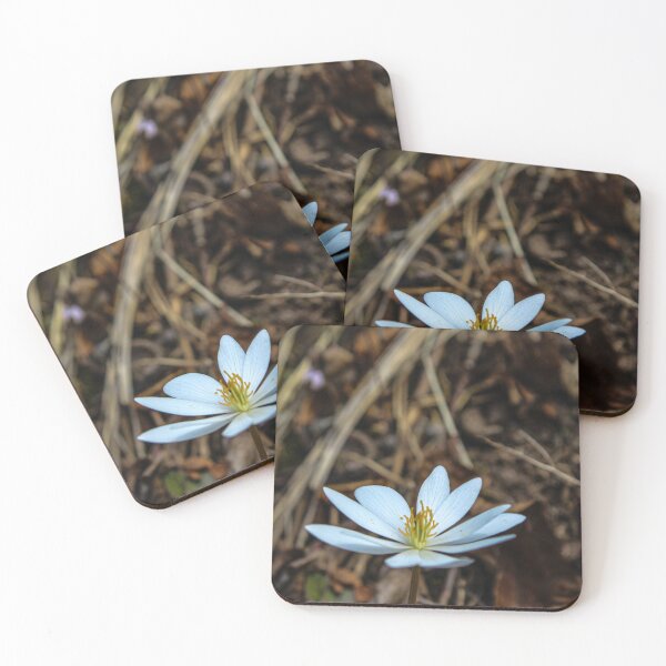 Item preview, H0087 White Flower designed and sold by photographyemd.