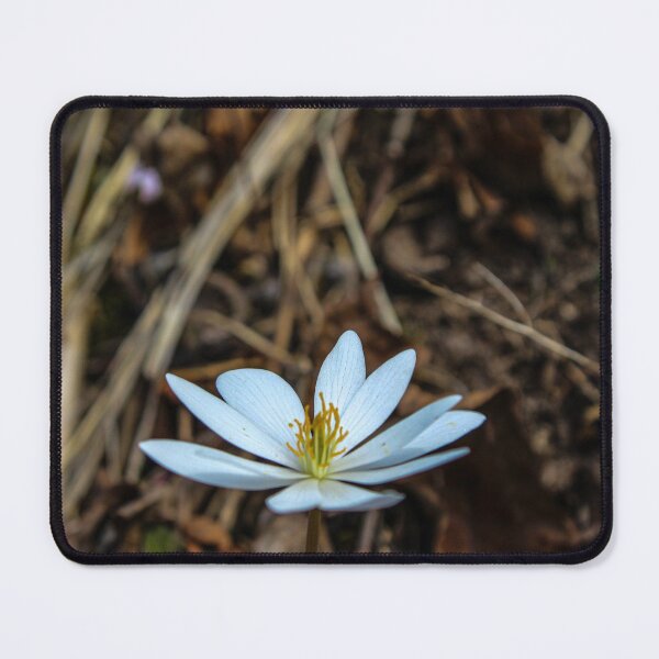 Item preview, H0087 White Flower designed and sold by photographyemd.