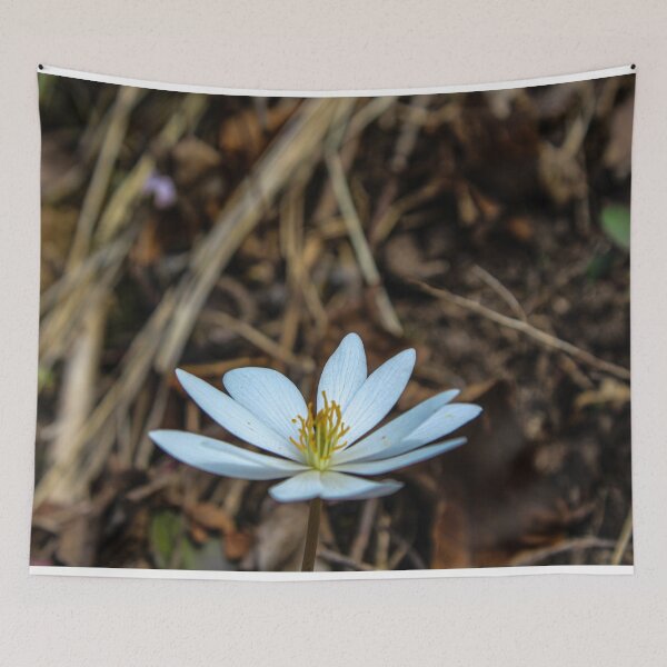 Item preview, H0087 White Flower designed and sold by photographyemd.