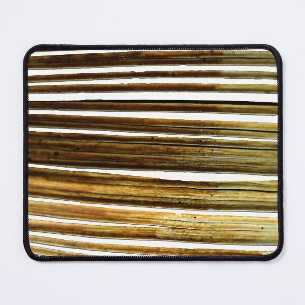 Item preview, Bamboo gold designed and sold by delcueto.