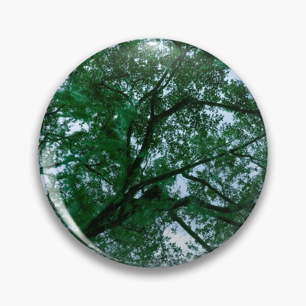 Item preview, Looking up Through the Trees designed and sold by bwheeler.