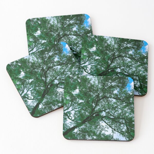 Item preview, Looking up Through the Trees designed and sold by bwheeler.