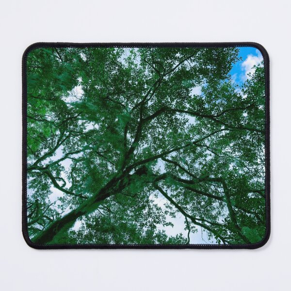 Item preview, Looking up Through the Trees designed and sold by bwheeler.