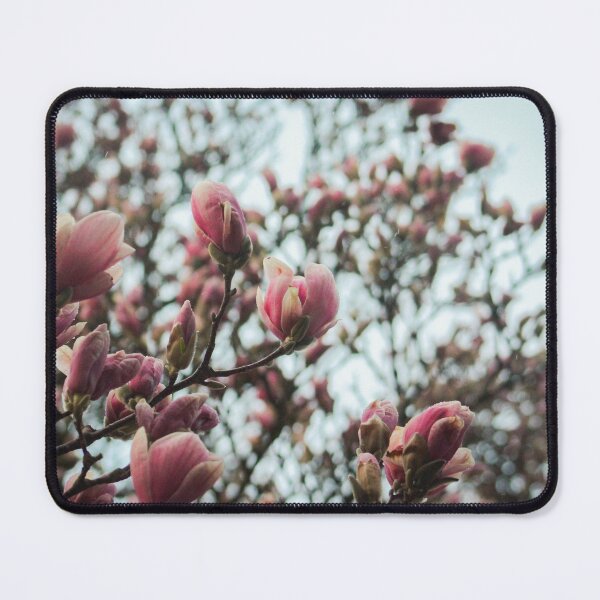 Item preview, H0089 Magnolia Tree designed and sold by photographyemd.