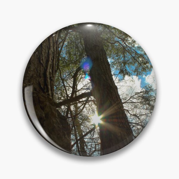 Item preview, H0092 Between The Trees designed and sold by photographyemd.