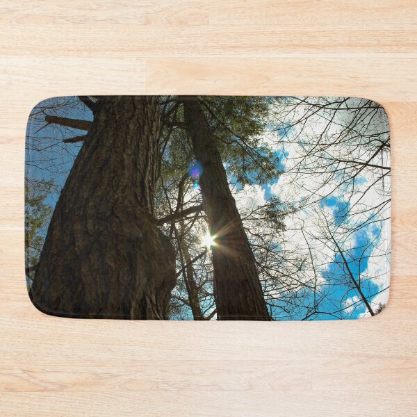 Item preview, H0092 Between The Trees designed and sold by photographyemd.