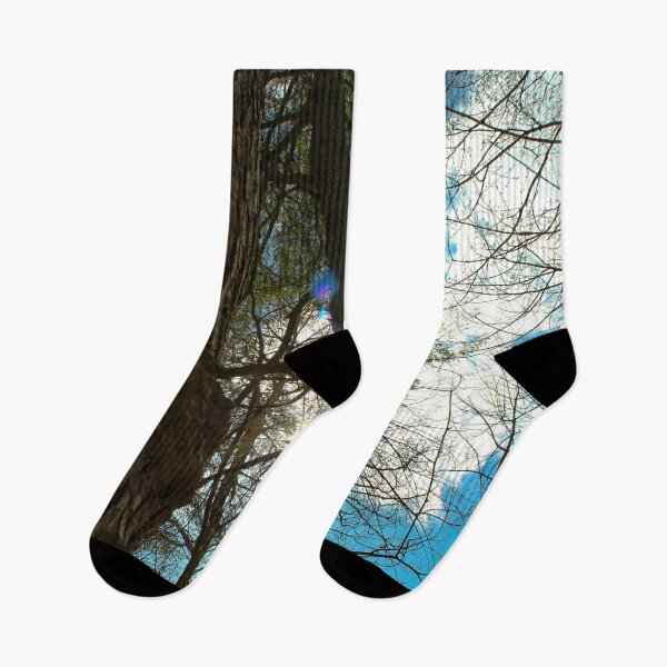 Item preview, H0092 Between The Trees designed and sold by photographyemd.