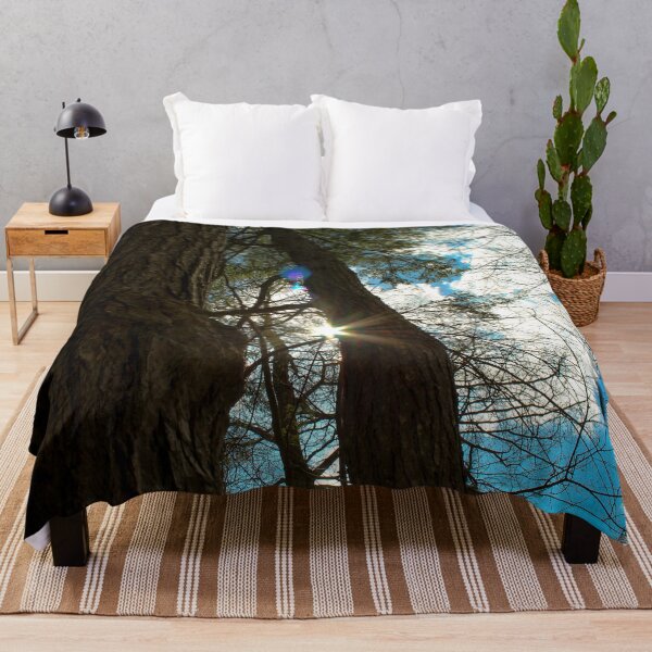 Item preview, H0092 Between The Trees designed and sold by photographyemd.