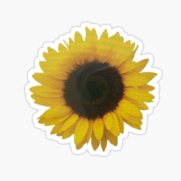 Sunflower Sticker