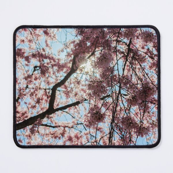 Item preview, H0094 Cherry Tree designed and sold by photographyemd.