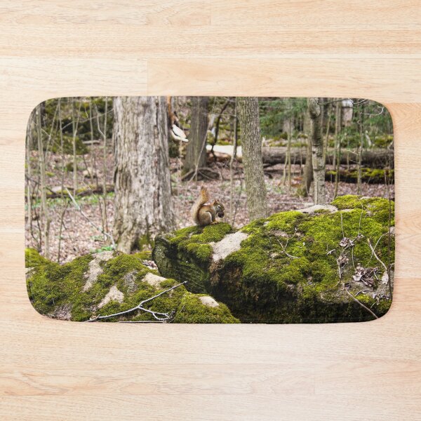 Item preview, H0095 Squirrel designed and sold by photographyemd.