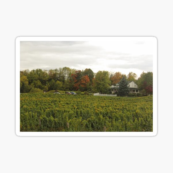 Item preview, H0100 Featherstone Winery designed and sold by photographyemd.