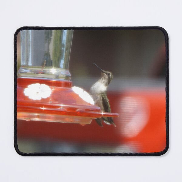 Item preview, Hummingbird on feeder designed and sold by This and That.