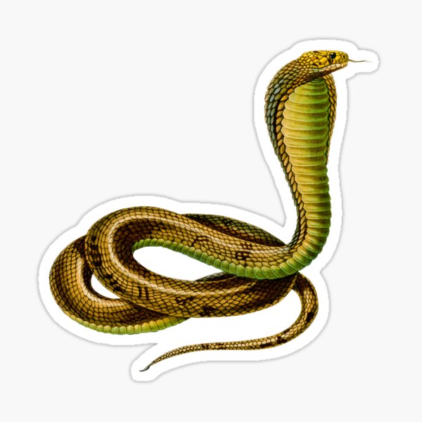 Anacondas Snake-I-O - Huge Slither Free Download