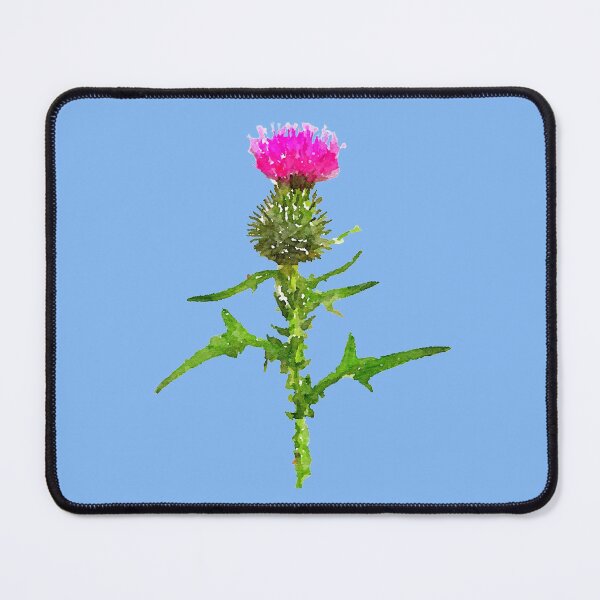 Item preview, Thistle, Scottish National Flower designed and sold by sillybanana.