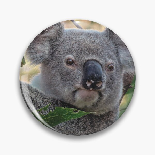 Item preview, Bullet among the gum leaves designed and sold by koalagardens.