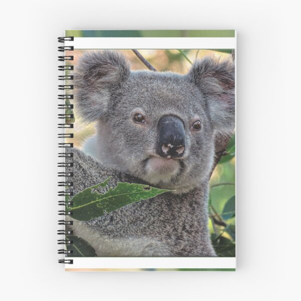 Item preview, Bullet among the gum leaves designed and sold by koalagardens.