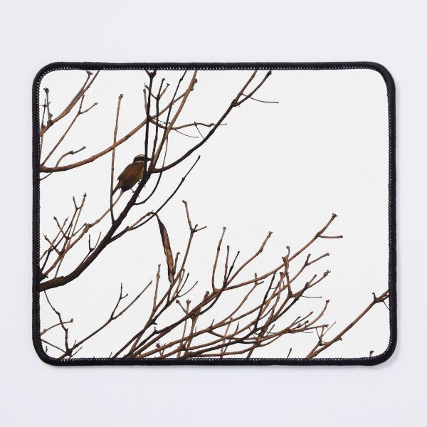 Birds and seeds Mouse Pad