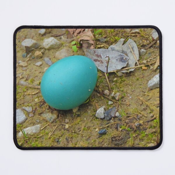 Robin's Egg On Path Mouse Pad