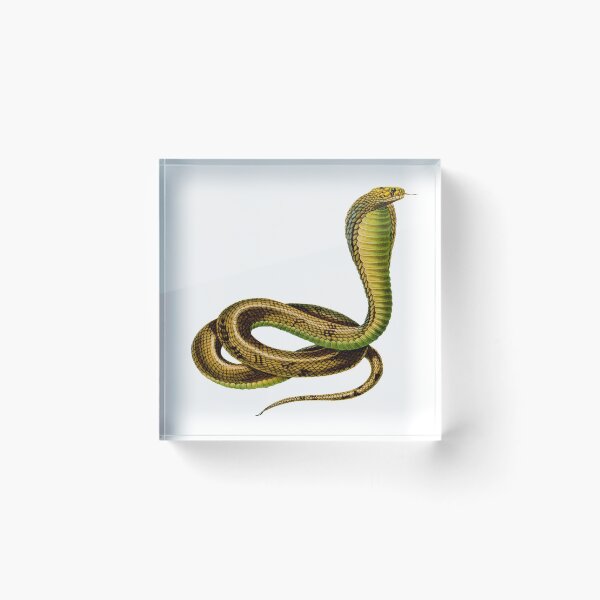 Item preview, Snake designed and sold by Nádia  Fernandez.