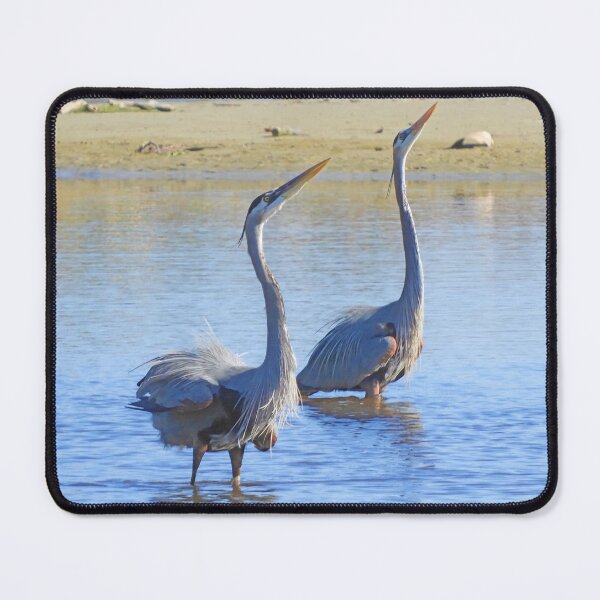 Item preview, Great Blue Heron Dance designed and sold by KnutsonKr8tions.