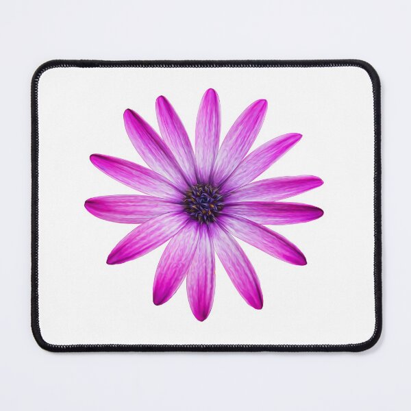 Item preview,  Daisy flowers designed and sold by Maria  Gonzalez.