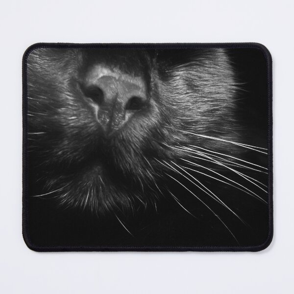 Item preview, Black Cat Whiskers designed and sold by Maria  Gonzalez.