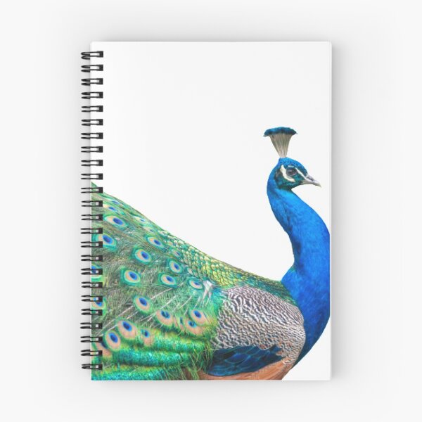 Item preview, Peacock designed and sold by FMLY - Emporium.
