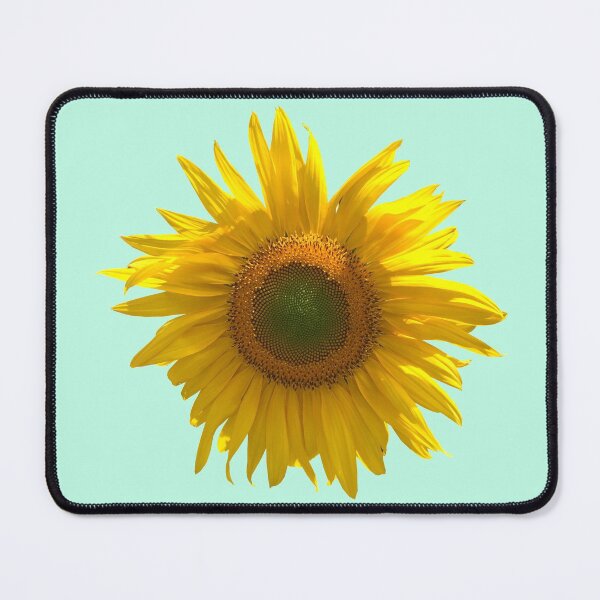 Item preview, Sunflower photograph (mint background) designed and sold by tifft.