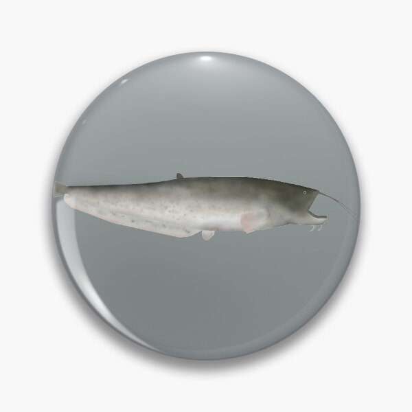 Item preview, Wels Catfish designed and sold by fishfolkart.