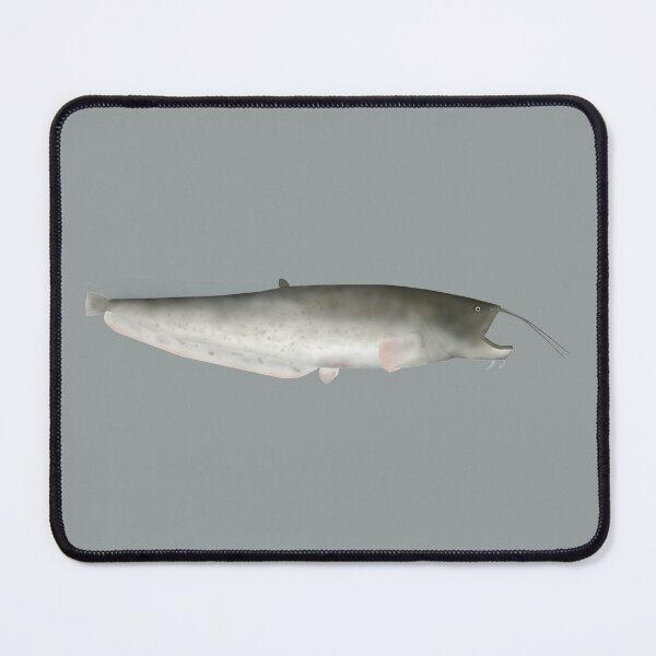 Item preview, Wels Catfish designed and sold by fishfolkart.