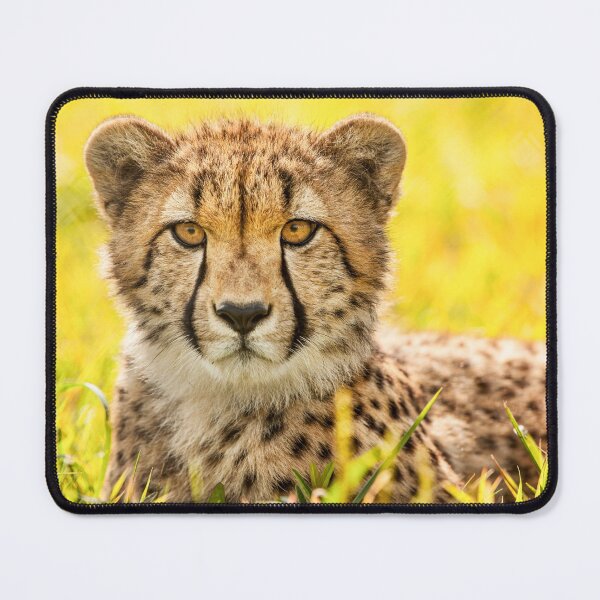 Item preview, Cheetah designed and sold by NiftyTees.