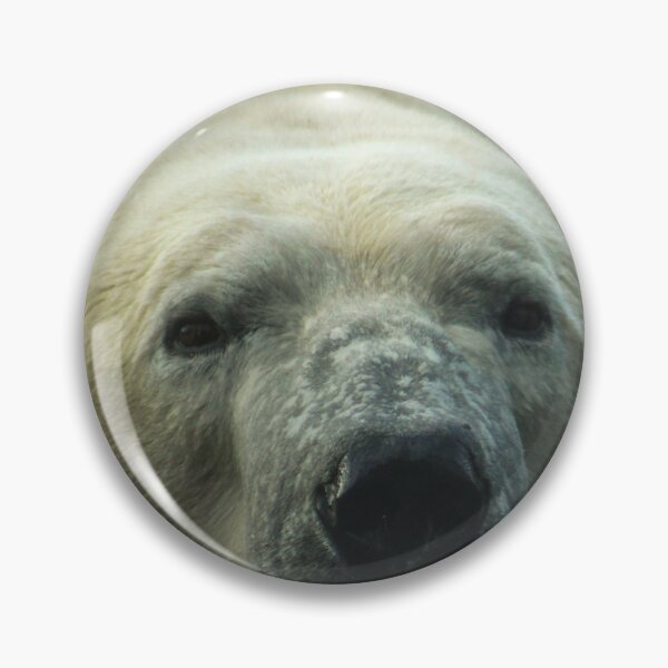 Item preview, H0104 Polar Bear designed and sold by photographyemd.