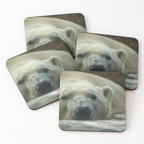 Item preview, H0104 Polar Bear designed and sold by photographyemd.