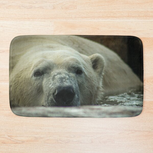 Item preview, H0104 Polar Bear designed and sold by photographyemd.