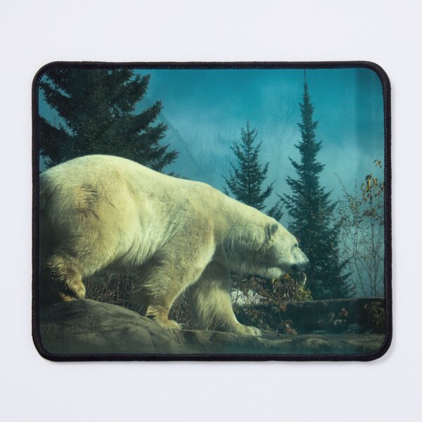 Item preview, H0105 Polar Bear designed and sold by photographyemd.