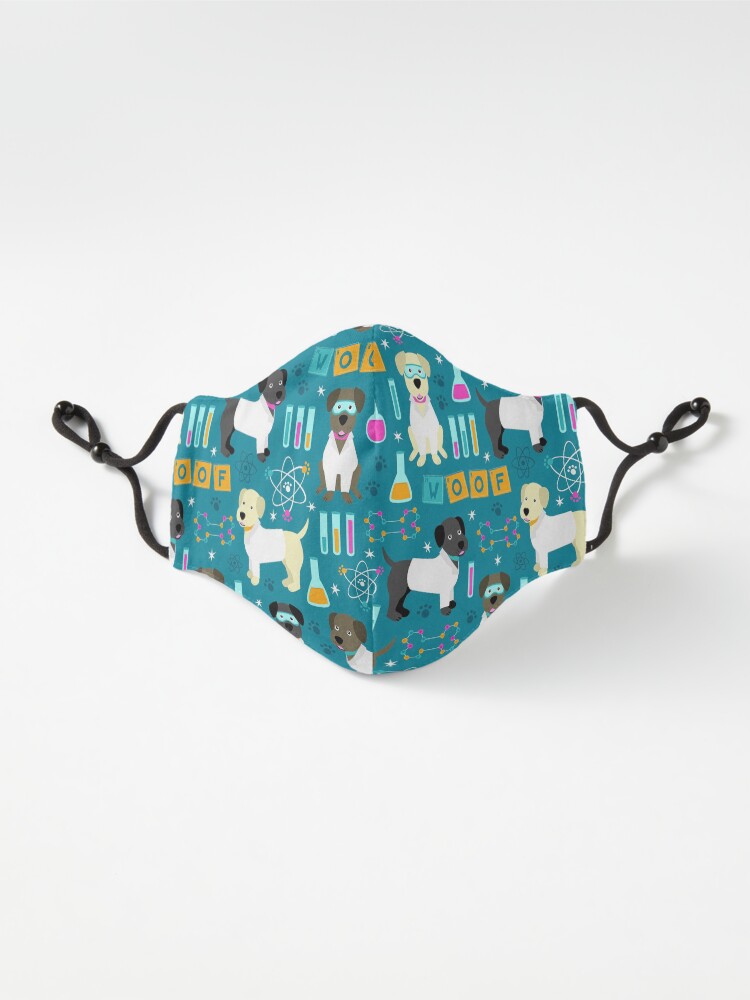 Alternate view of Lab Assistants Mask