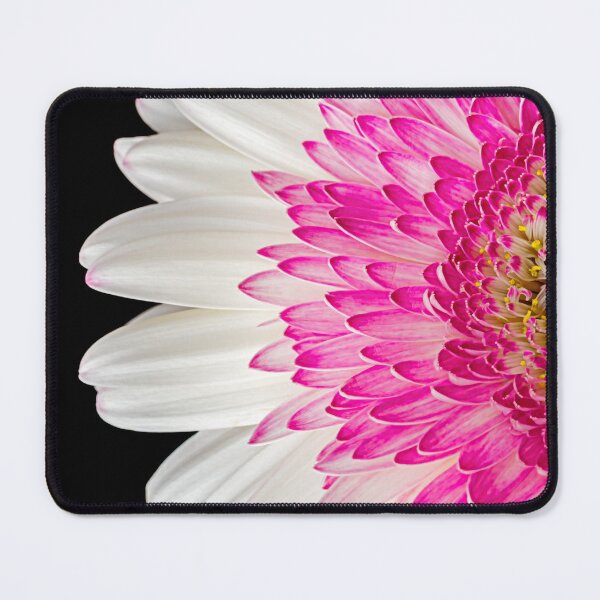 Item preview, Pink Gerbera Flower designed and sold by Catherine Reading.