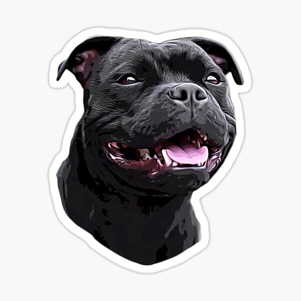 Black Staffordshire Bull Terrier Stickers Redbubble