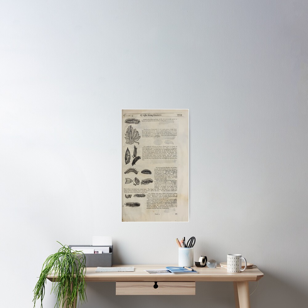 Artikel-Vorschau von Poster, designt und verkauft von wetdryvac.